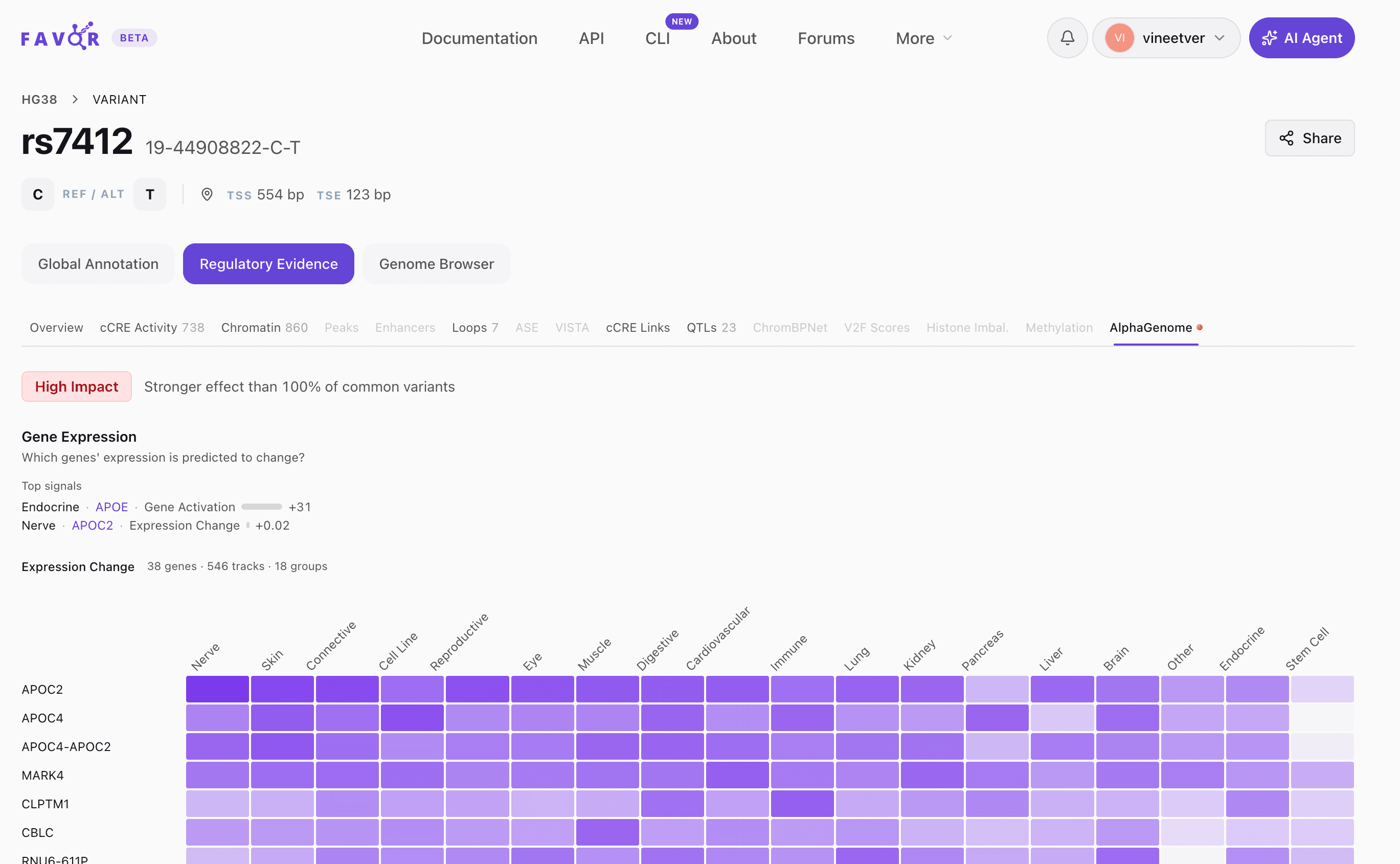 AlphaGenome scores for rs7412 — High Impact classification with a tissue-by-gene expression-change heatmap across APOC2, APOC4, MARK4, and other nearby genes.
