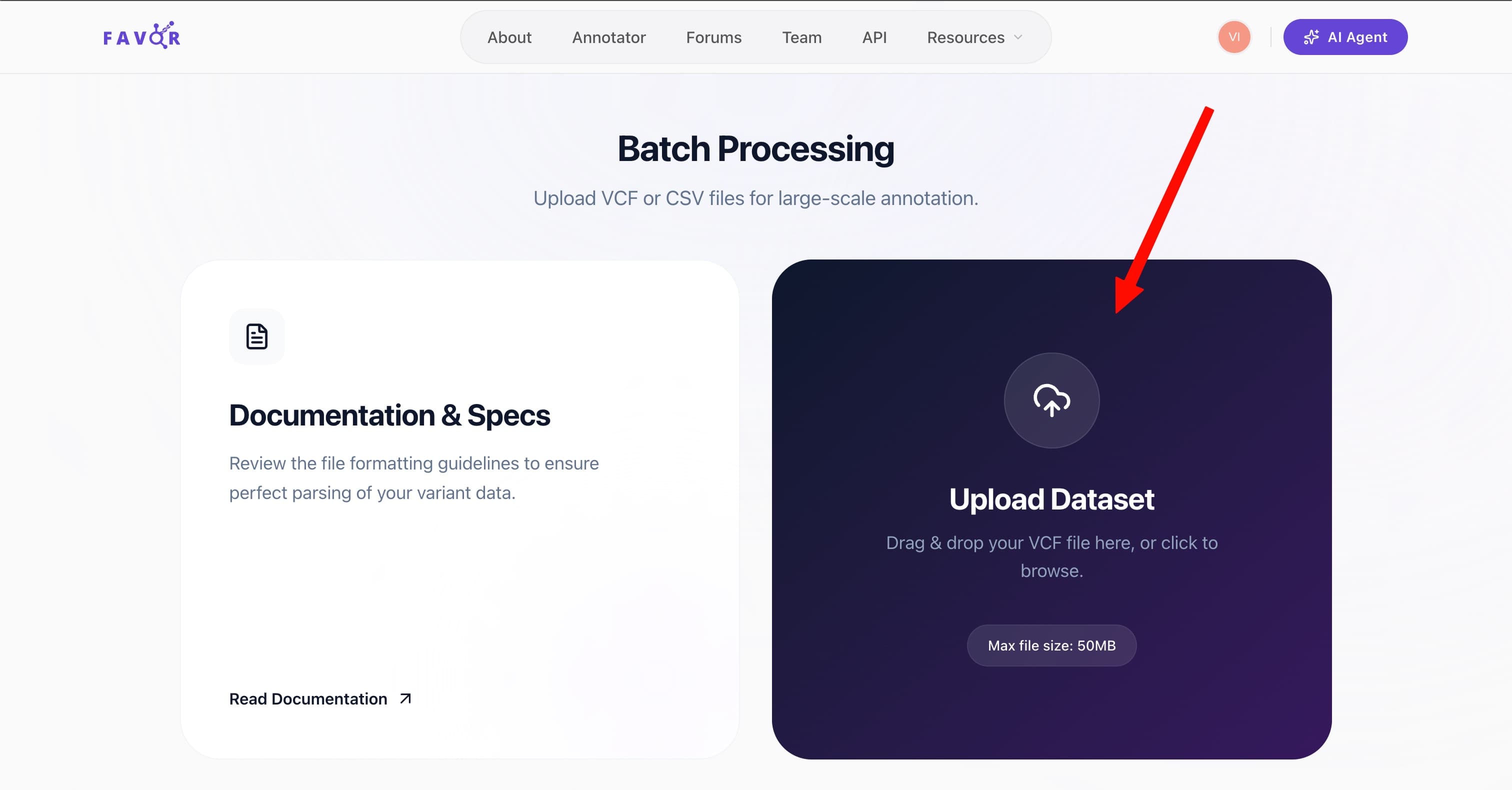 FAVOR homepage with Batch Annotation navigation link